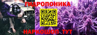 гашик Заволжье