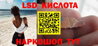 прущие грибы Заводоуковск