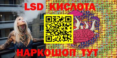 прущие грибы Заводоуковск