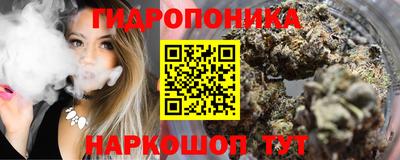 прущие грибы Заводоуковск