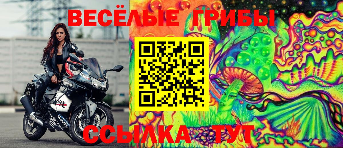 Псилоцибиновые грибы прущие грибы Курчатов