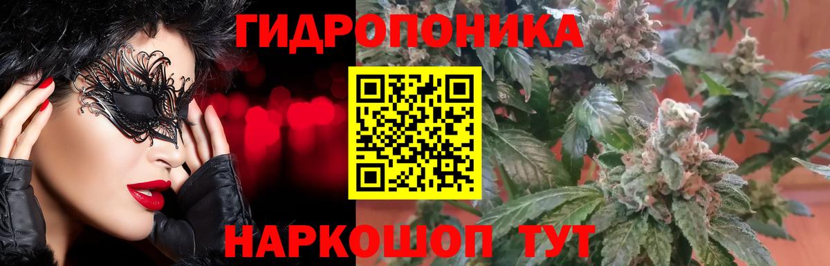 Курчатов  Марихуана MAZAR  Шишки марихуана марихуана  Вход с VPN  Марихуана SATIVA & INDICA 